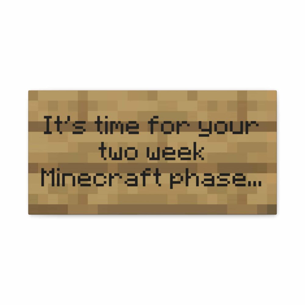 Two week Minecraft phase - Image 2