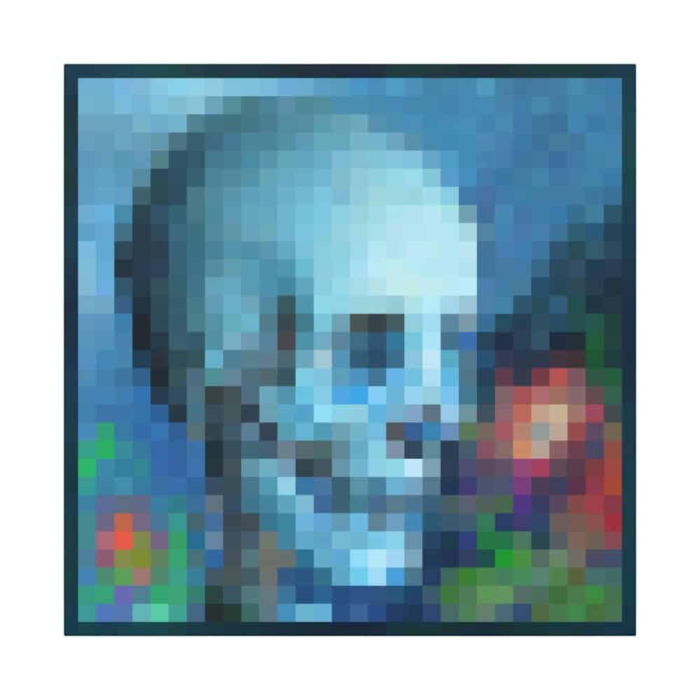 Skull and roses - Image 13